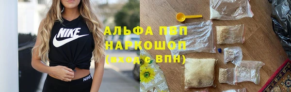 амф Каменка