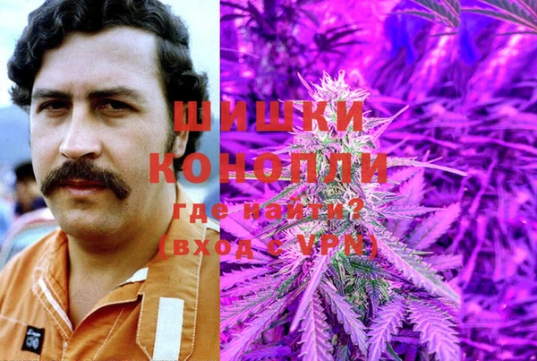 амф Каменка