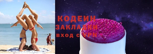 амф Каменка