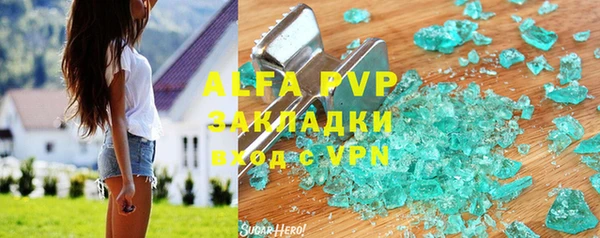 амф Каменка
