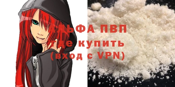 амф Каменка
