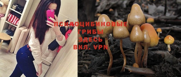 молекула духа Каменногорск