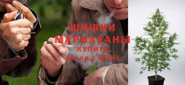 молекула духа Каменногорск