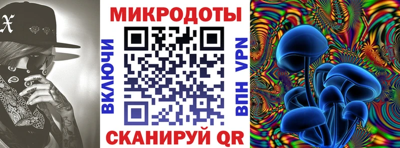 Галлюциногенные грибы Psilocybe  Купить  Балашов 